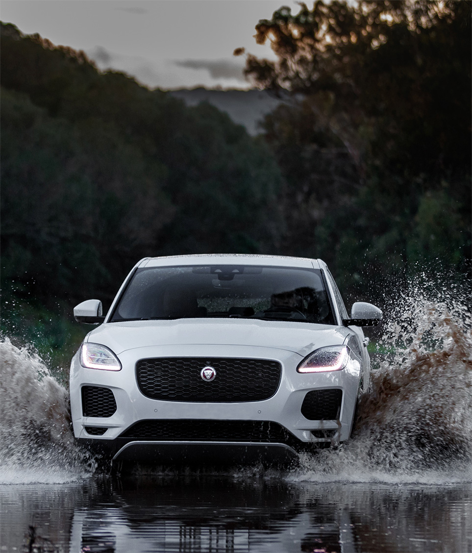 Jaguar driving through water